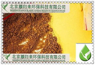 煙臺聚合硫酸鐵應(yīng)用領(lǐng)域與環(huán)保技術(shù)開發(fā)